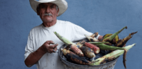 Mexico's ban on GM corn 'could disproportionately affect the nation's lower-income consumers'