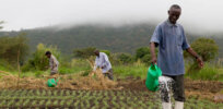 The conflict between sustainable development goals and environmental activists