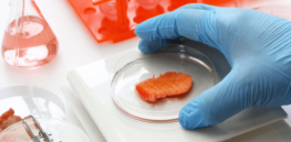 Lab-grown fish face unique obstacles to create and scale