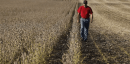 America’s farming economy in a recession? Depends who you ask.