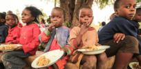 Africa fights rising hunger by looking to foods of the past