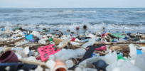 Inching toward a global treaty on plastic pollution