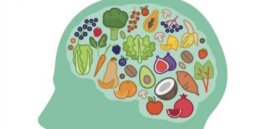 Perhaps carbohydrates, not meat, provided early humans the energy needed to evolve bigger brains