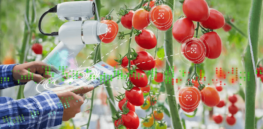 Industrial intelligence: 'A paradigm shift comparable to historic innovations like the horse-drawn seed drill in agriculture'