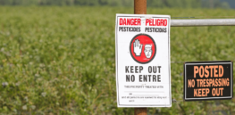Viewpoint: Understanding risk—Why does trace pesticide residue spark intense fear?