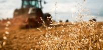 Podcast: Glyphosate doesn't cause Celiac disease or alter gluten structure