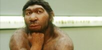 Did Neanderthals go extinct or were they absorbed?
