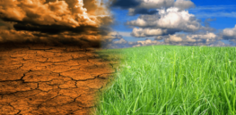 Viewpoint: Africa’s opportunity to develop crops that can weather climate change depends whether it embraces gene editing