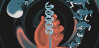Viewpoint: Human gene editing does not equate with eugenics