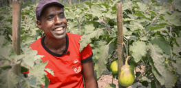 How do farmers in Bangladesh feel about genetically modified crops?—A survey