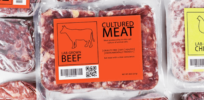 'I would never serve that slop to my kids'—Bipartisan support for Pennsylvania bill to ban cell-based meat