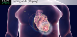 Wegovy and other GLP-1 drugs lowers the risk of heart attacks and strokes by 20% and could save 34,000 lives annually in the US
