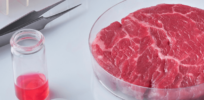 Will lab-based meat upend the trillion dollar global meat industry? Would it be any better for our health?