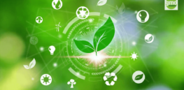 Exploring the sustainability challenges of genetically modified crops
