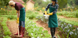 Viewpoint: Organic farming and food will always be a niche product for the urban elite without significant health or environmental benefits