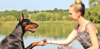 Science-based advice on how to talk to your dog to deepen your connection