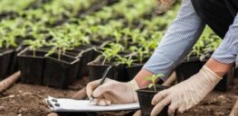 AI is helping farmers sequester more carbon in soil, improving agriculture's sustainability profile