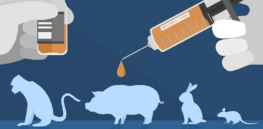 Is animal testing still necessary? Will it be phased out?