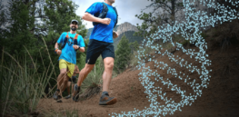 Born athletes? Identical twin studies show the balance of genetics vs training