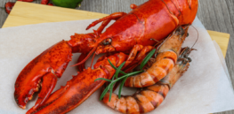 Do ‘forever chemicals’ impact seafood? The FDA wants to know