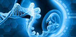 DNA screening start-up claims it can screen embryos for the likelihood of age-related diseases like cancer and Alzheimer’s