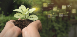 How blockchain technology is transforming Indian agriculture in unexpected ways