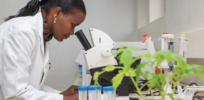Biotechnology is the way forward for many of Africa's most pressing challenges