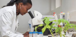 Biotechnology is the way forward for many of Africa's most pressing challenges