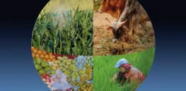 With climate change threatening commodity foods, these technologies are coming to the rescue