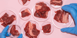 Why are we not eating more cell-based meat? Blame over-regulation, protectionist states, and skeptical consumers