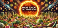 Viewpoint: New York Times' series 'What to Eat on a Burning Planet' is elitist hubris (and also gets the science of climate change wrong)