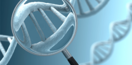 25% reduction: People genetically prone to breast cancer, diabetes and other diseases would benefit from gene screening