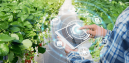 Farmers incorporating AI to generate risk assessments could help soften resistance to genetically modified crops