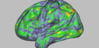 A scientist's brainy trip: How psilocybin creates an extraordinary new sense of space, time and self