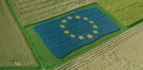 More than 40 gene-edited crops will be available to European farmers only when the EU deregulates crop biotechnology