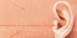 Why do people who suffer from certain mental illnesses 'hear voices'?