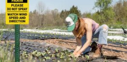 Viewpoint: Environmentalists claim farmers can forego chemicals and genetically engineered crops and grow bumper crops with less environmental impact. If only farming was that easy