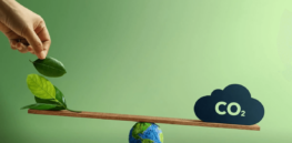 Breakthrough Institute report: New technologies are poised to reduce the carbon footprint of agriculture — if public financing is forthcoming