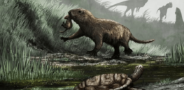 Even before the dinosaur era, mammal characteristics had begun to emerge