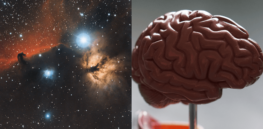 Astronauts will be spending longer stretches in space. How will that impact their brains?