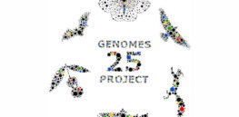It’s been 25 years since the first draft of the human genome. What’s next?