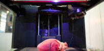 Scientists edge closer to perfecting bioprinting of human organs