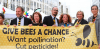 Viewpoint: ‘Progressives think rural people are dumb rubes’—Farmers know that neonicotinoid insecticides do not harm honeybees