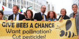 Viewpoint: ‘Progressives think rural people are dumb rubes’—Farmers know that neonicotinoid insecticides do not harm honeybees