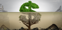 Here’s how the organic industry greenwashes its commitment to regenerative agriculture