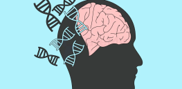 What is ‘genetic conflict’ and how does it shape human psychology?