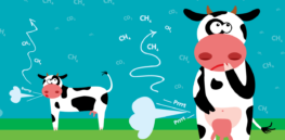 35% greenhouse emissions: Agriculture is one of the largest contributors to climate change. How can we turn that around?