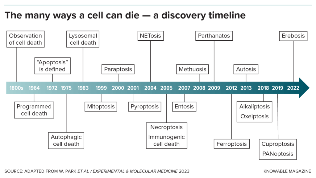 Your cells are dying. All the time. - Genetic Literacy Project