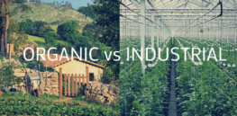 ‘Widespread disconnect between reality and public perception’—Why factory farming is superior to organic