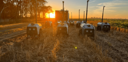 Can agricultural robots cut down on weeds without chemicals or carbon-releasing tilling?